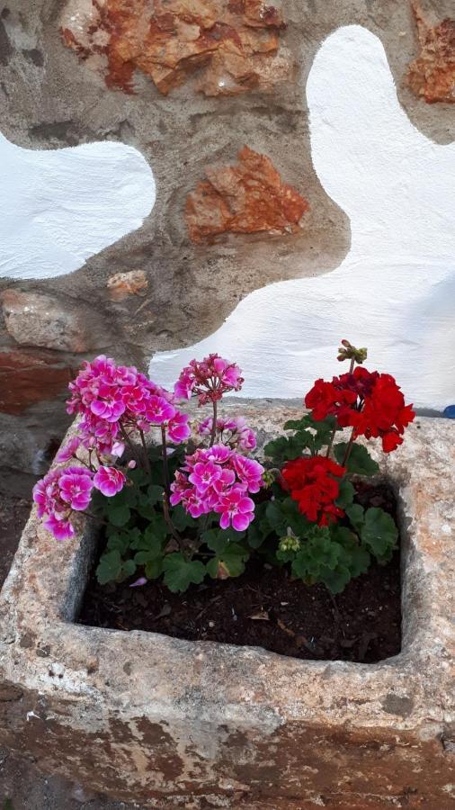 Almeixar Farm stay *