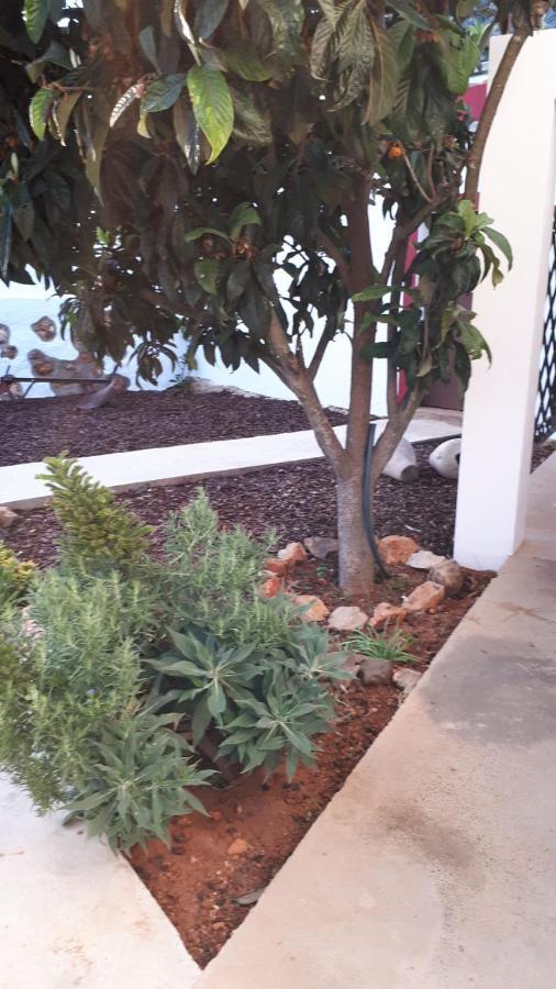 Almeixar Farm stay *